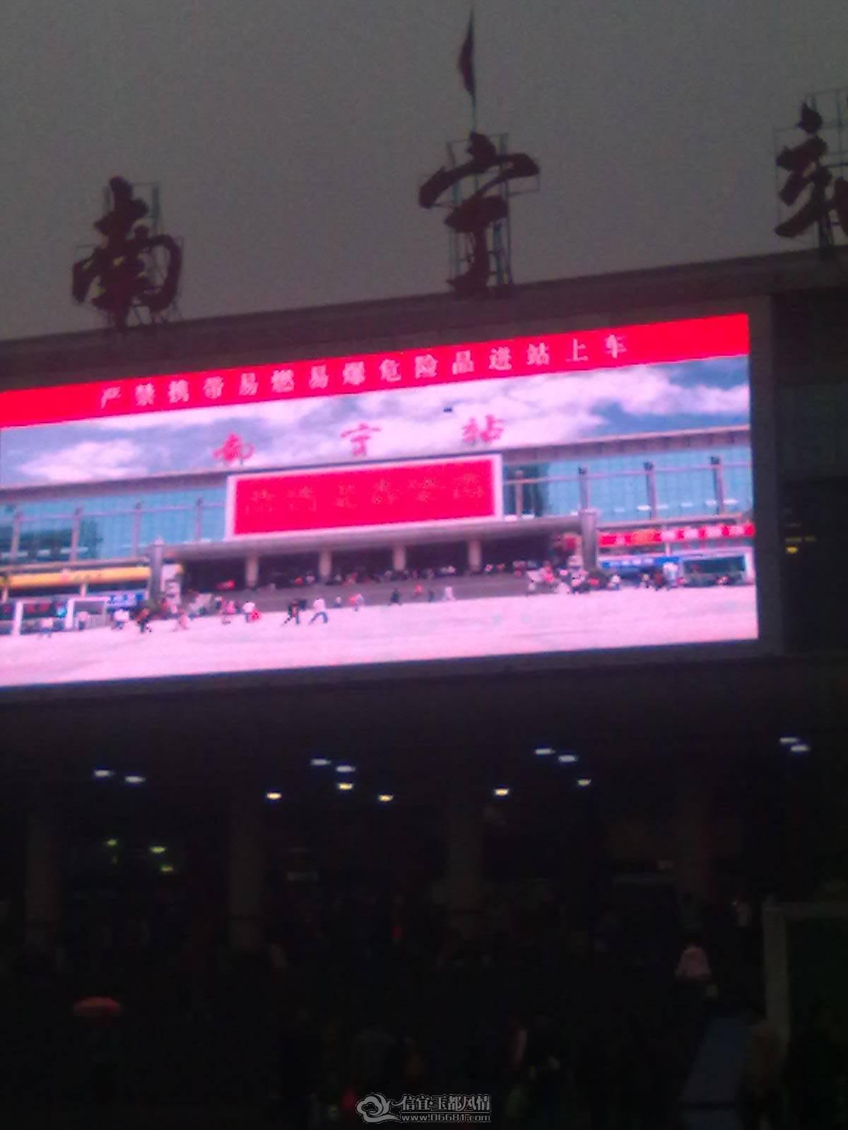 20110303113.jpg