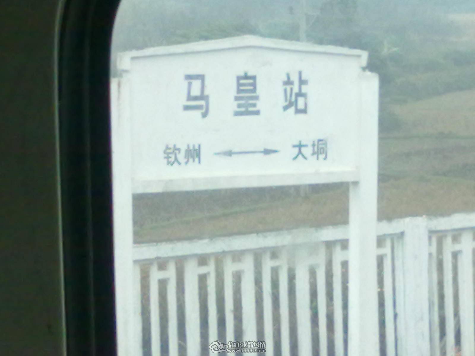 20110303114.jpg