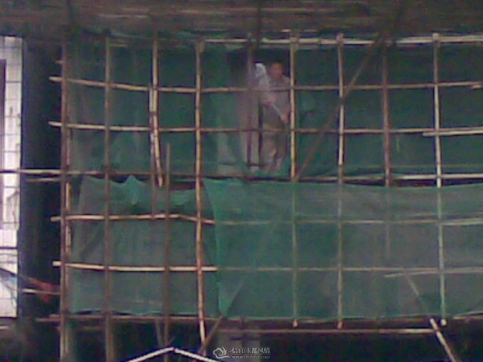 20110306(033).jpg