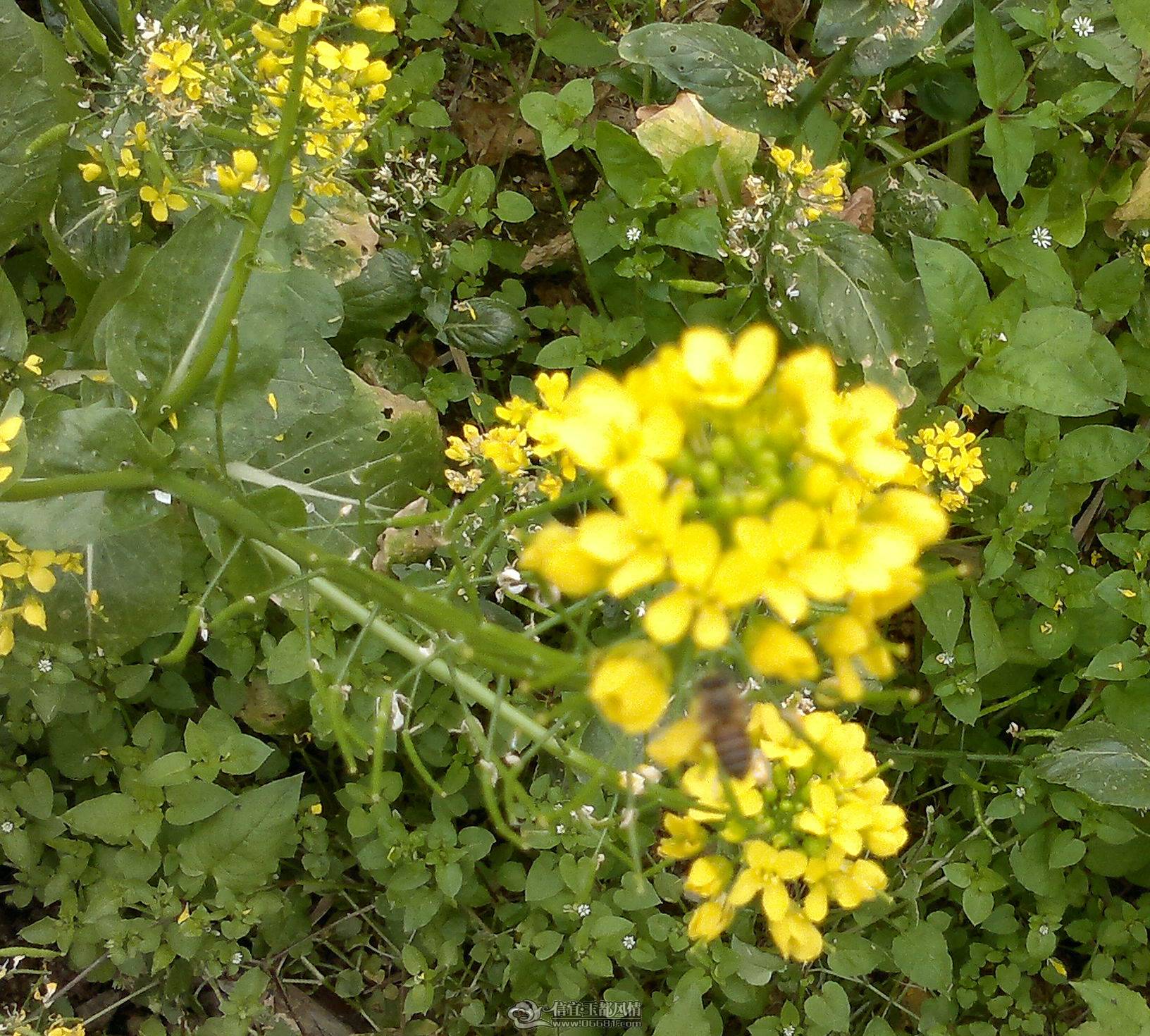 20110306017_1.jpg