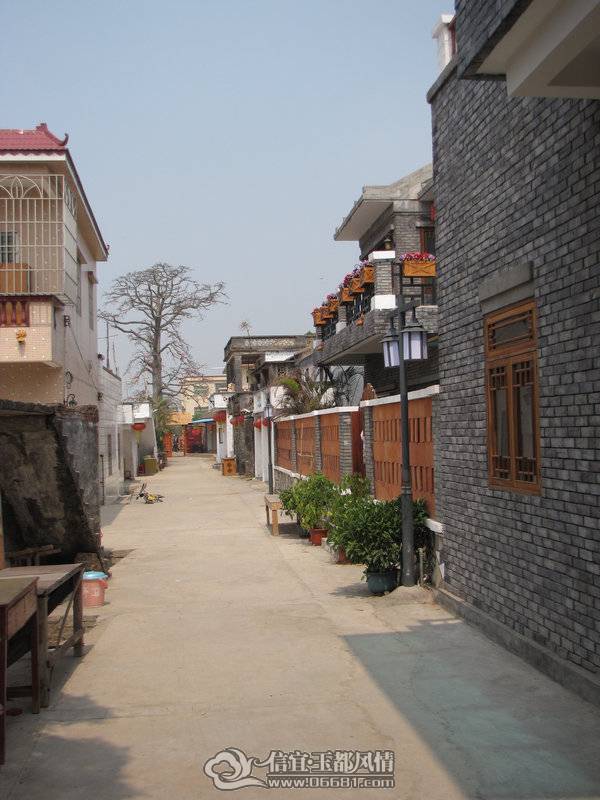 IMG_6566.JPG
