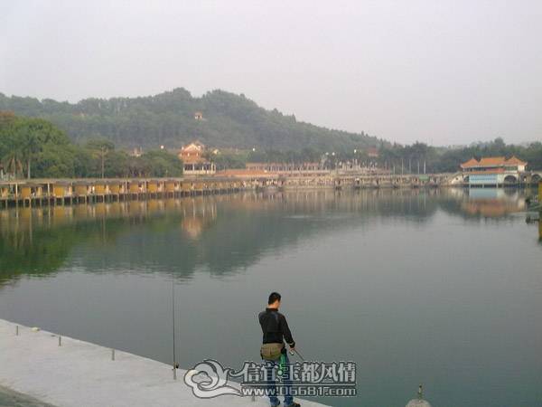 201103131661.jpg