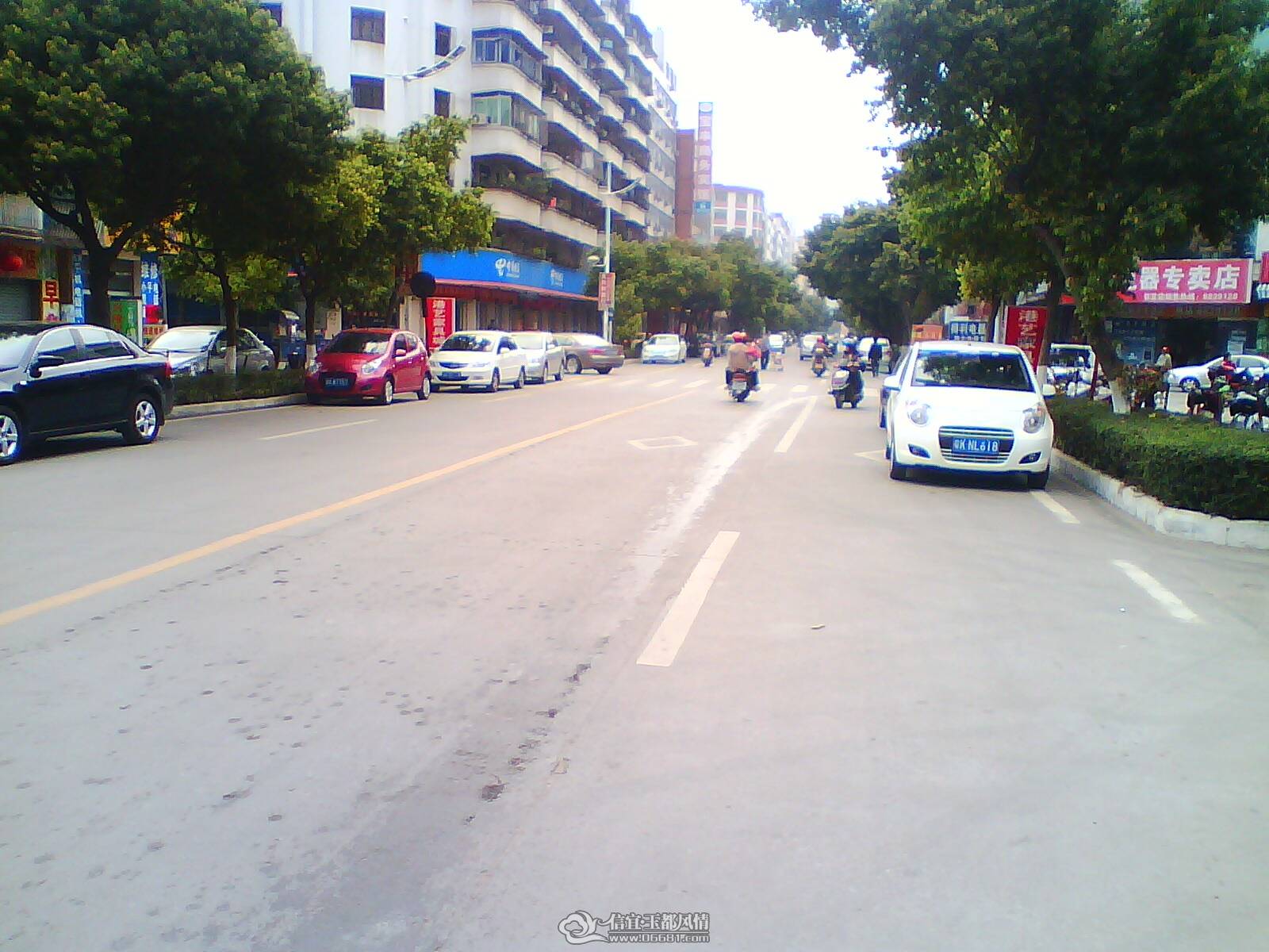 IMG0217A.jpg