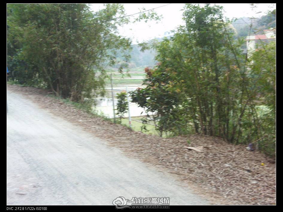 FILE0033.JPG