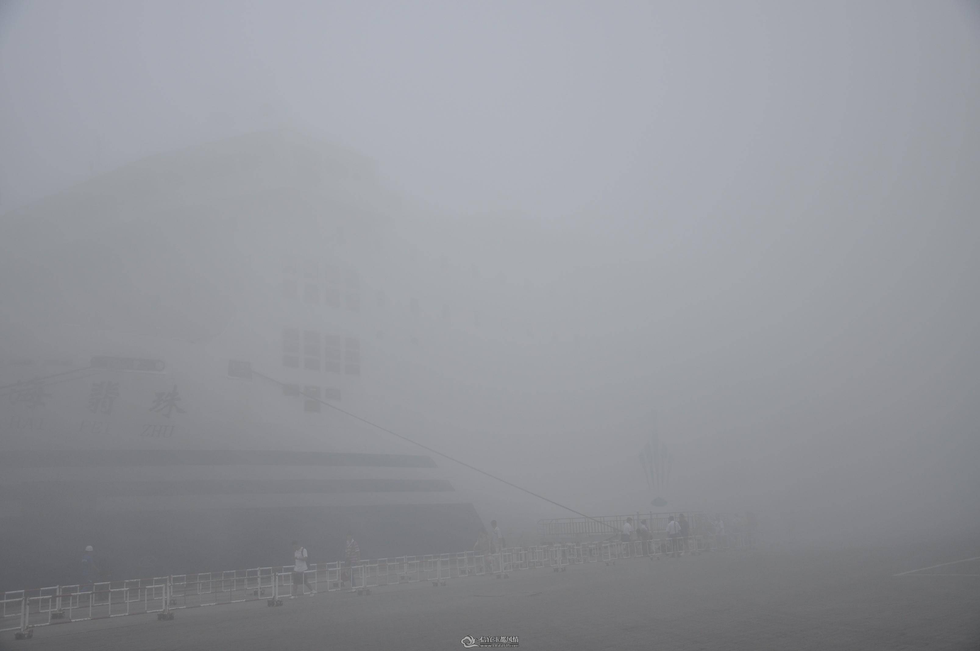 DSC_0302.jpg