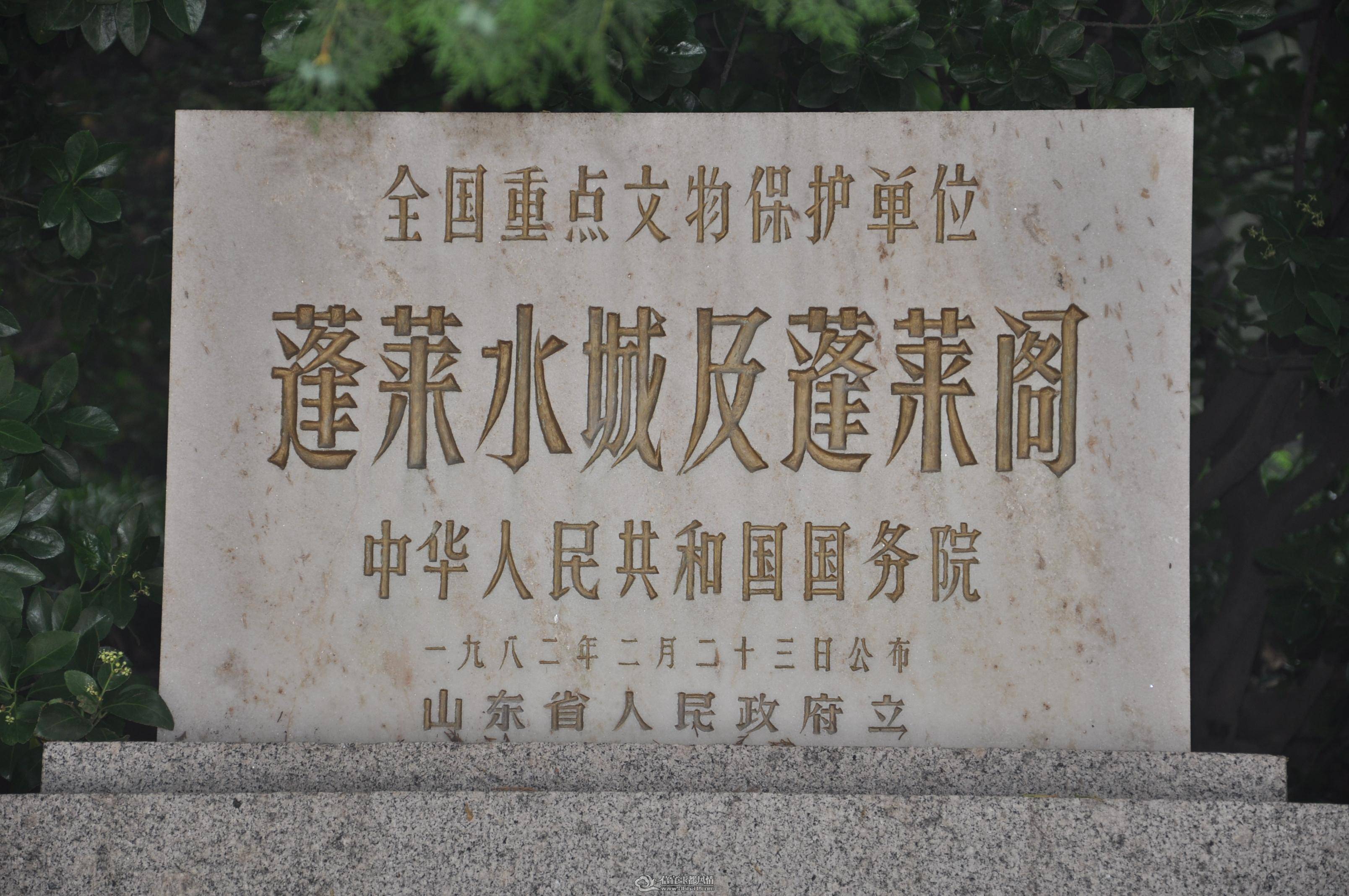 DSC_0316.jpg