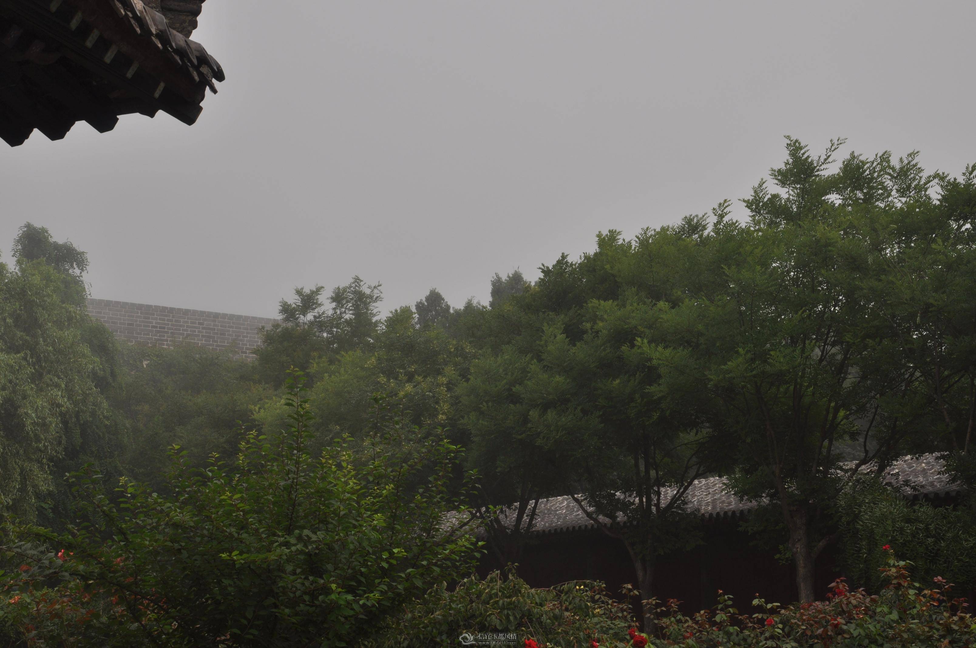 DSC_0321.jpg