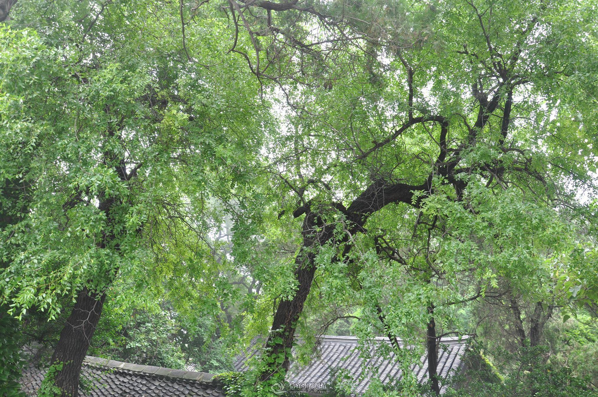 DSC_0370.jpg