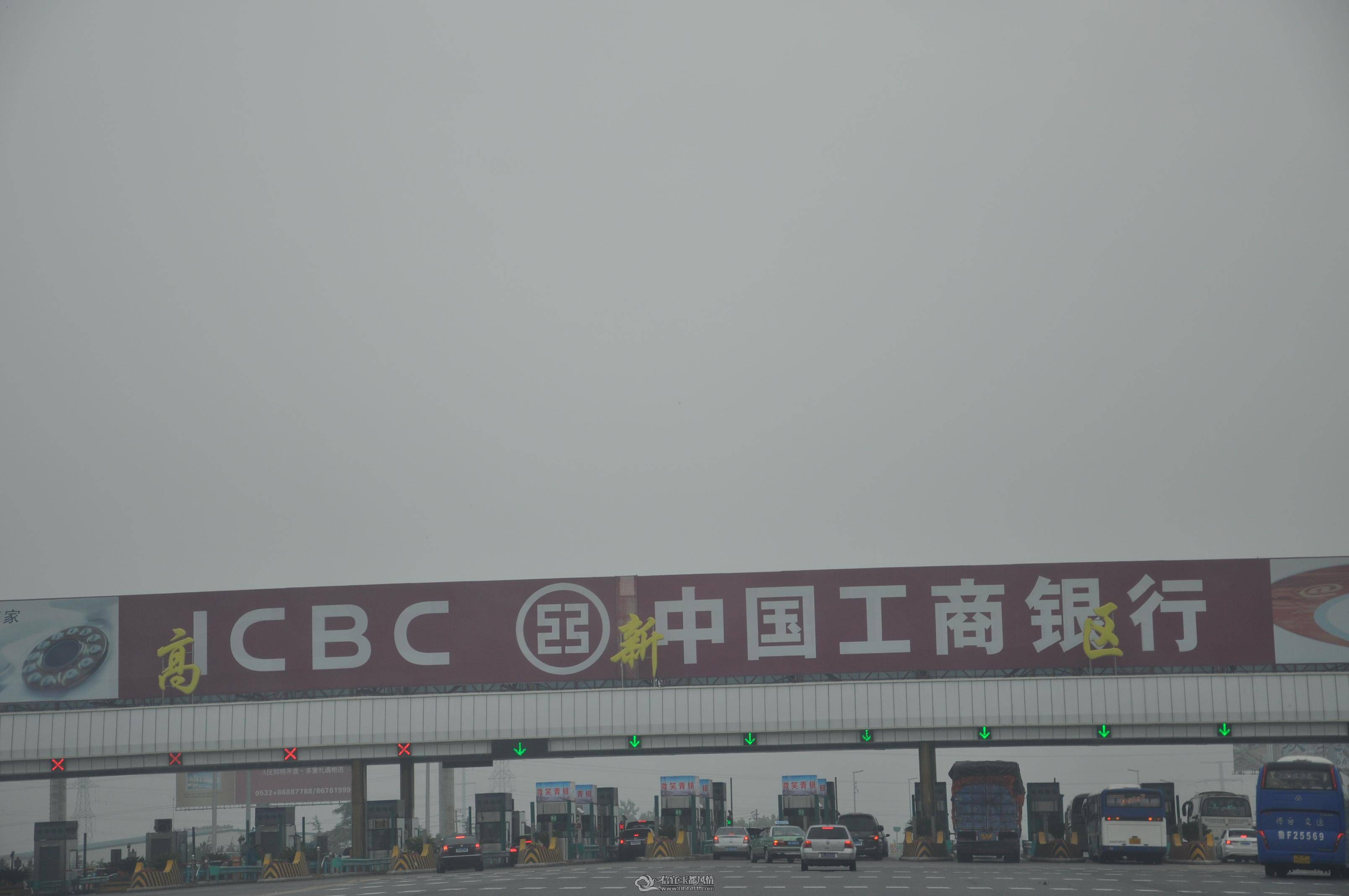 DSC_0390.jpg