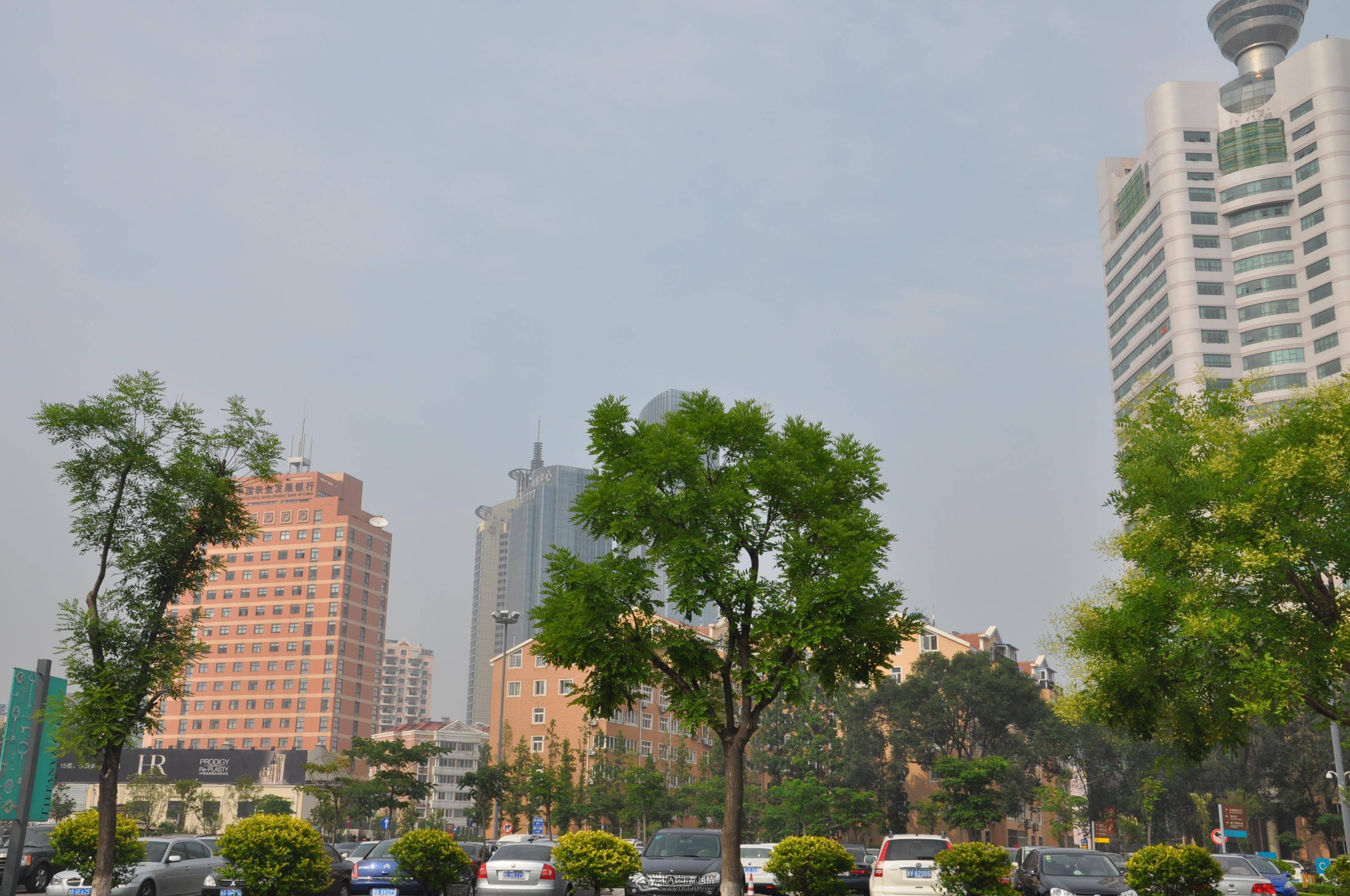 DSC_0430.jpg