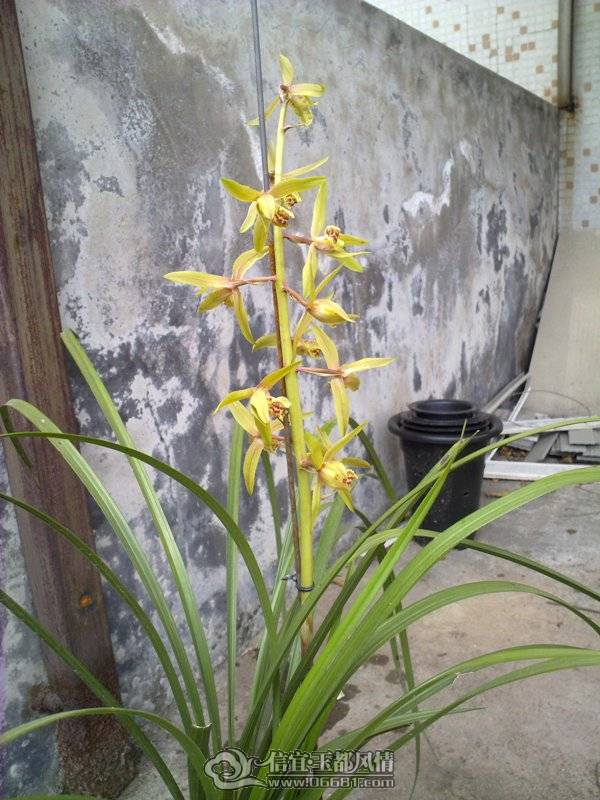 20110405021.jpg