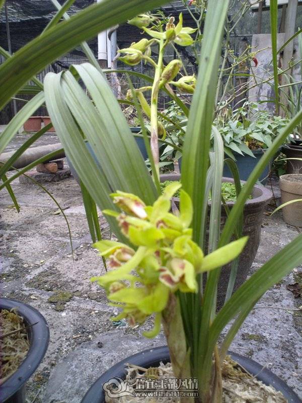 20110405023.jpg