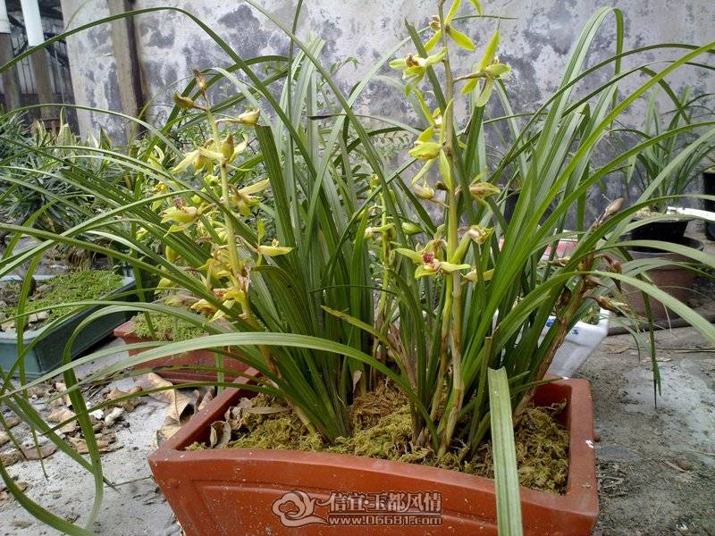 20110405025.jpg