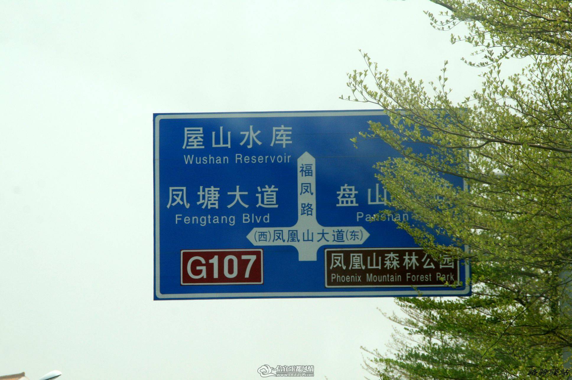 nEO_IMG_IMG_9599.jpg