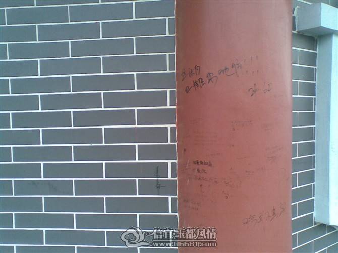 05.jpg