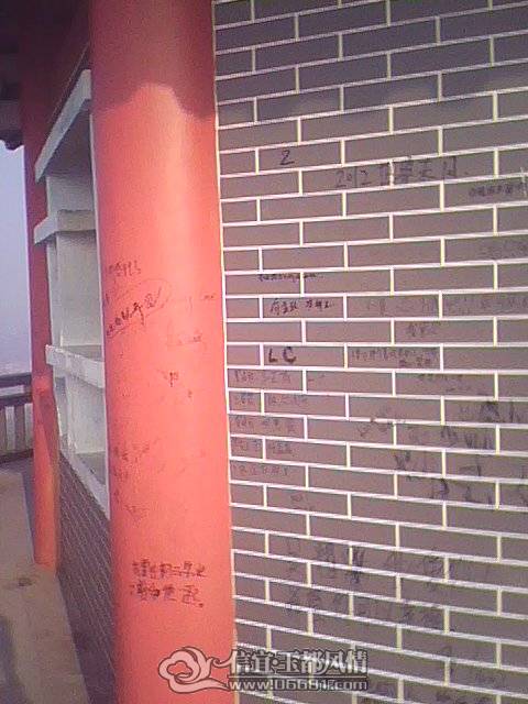 20110410_005.jpg