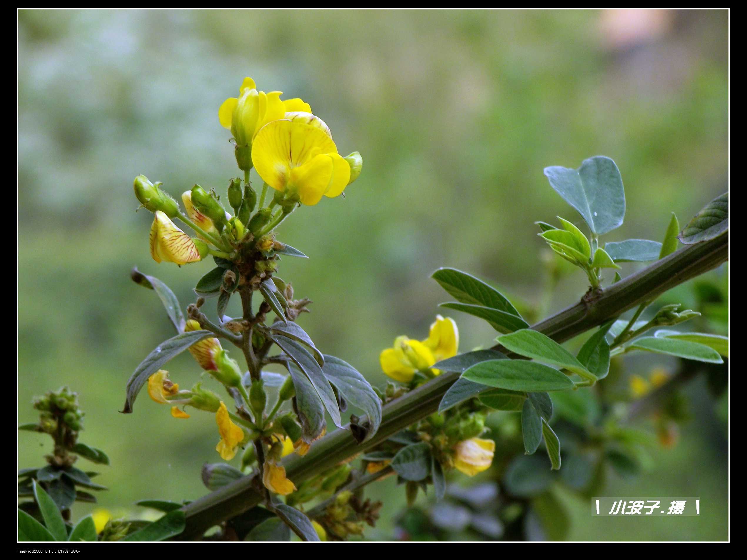 DSCF6166.JPG