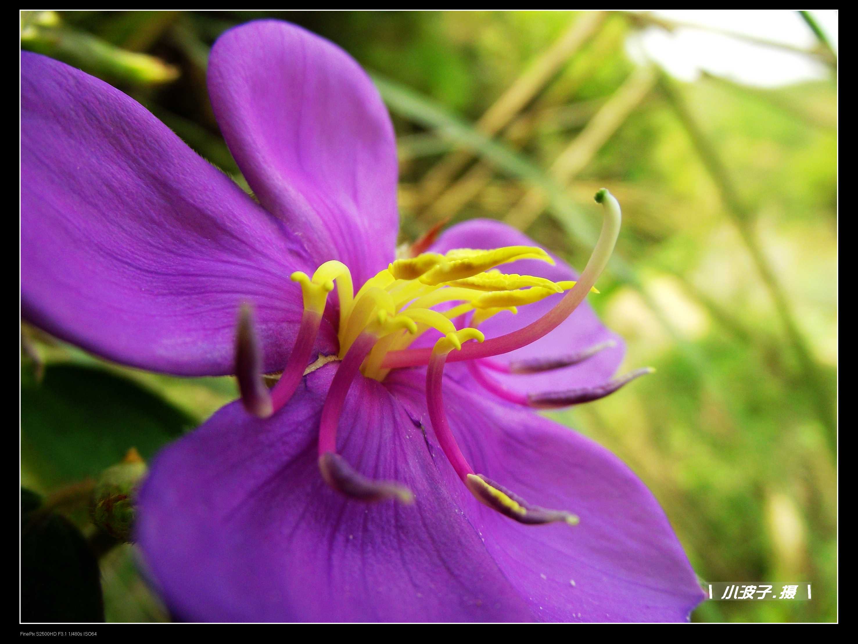 DSCF6184.JPG