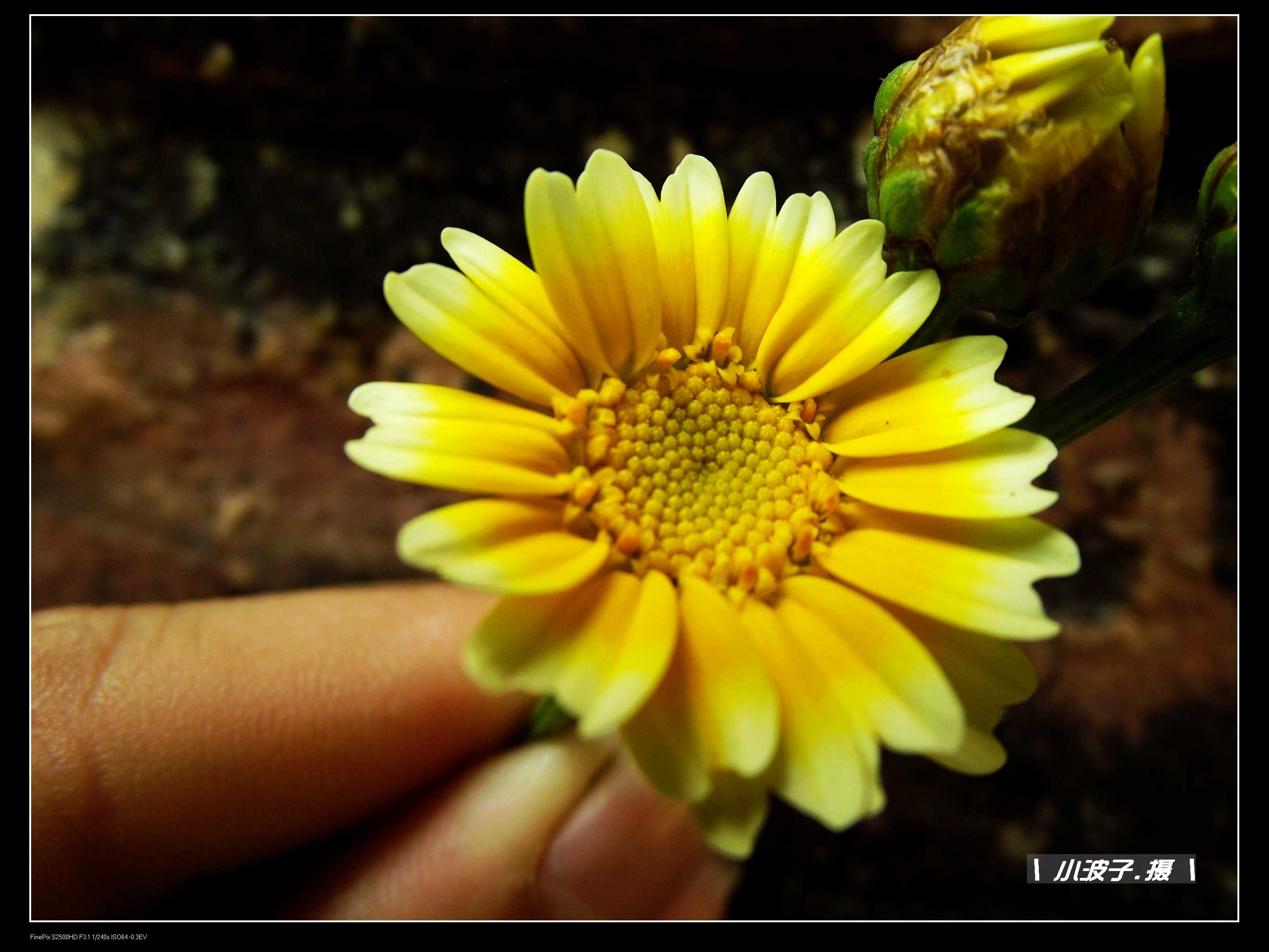 DSCF6280.JPG