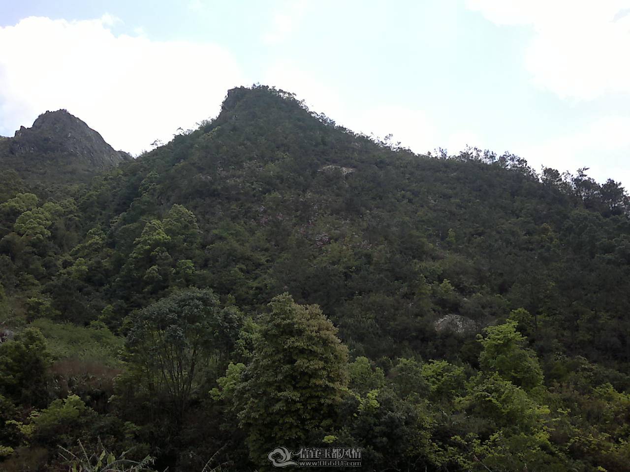 20110410159.jpg