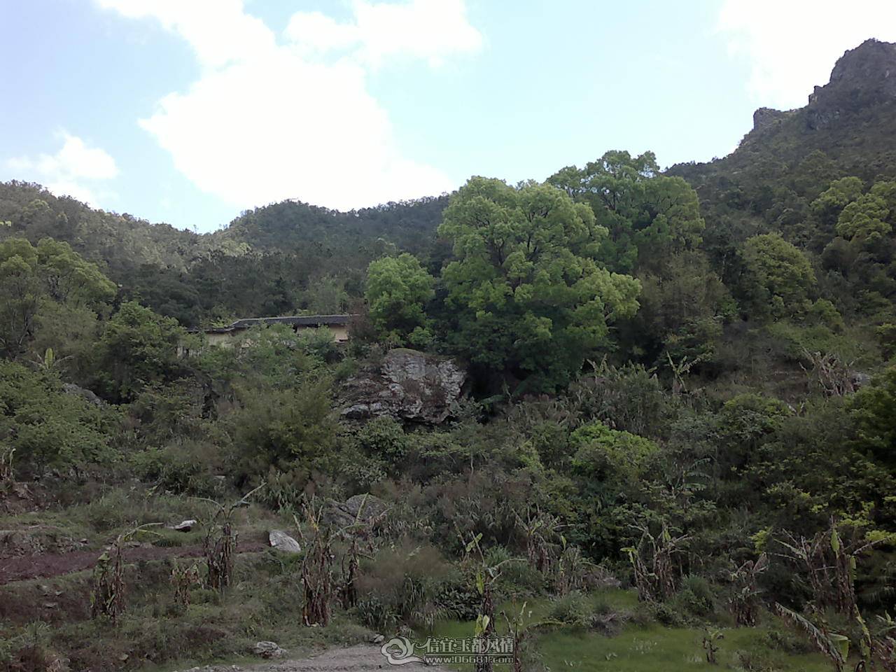 20110410160.jpg
