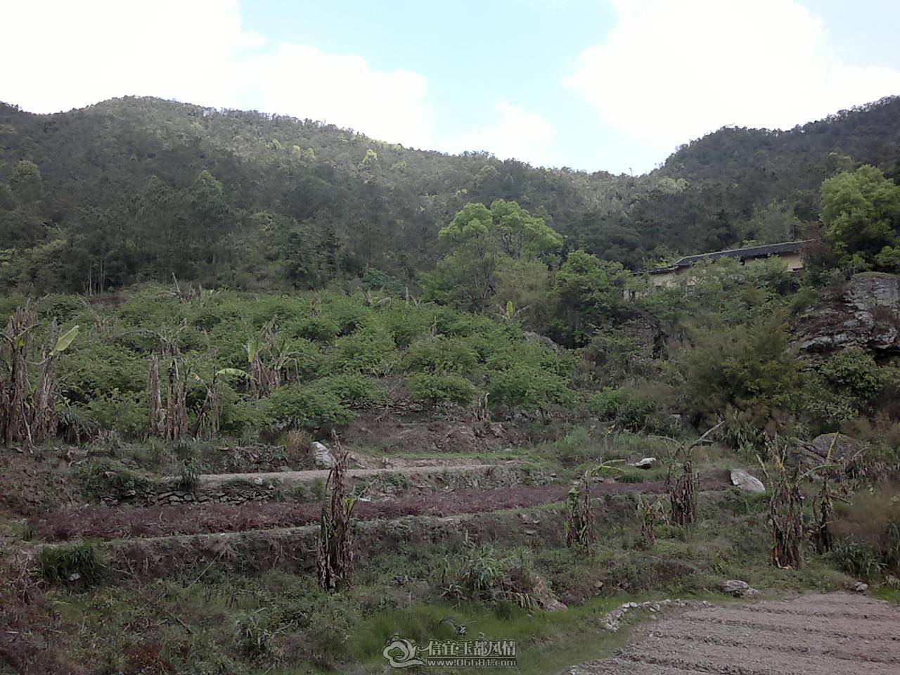 20110410161.jpg