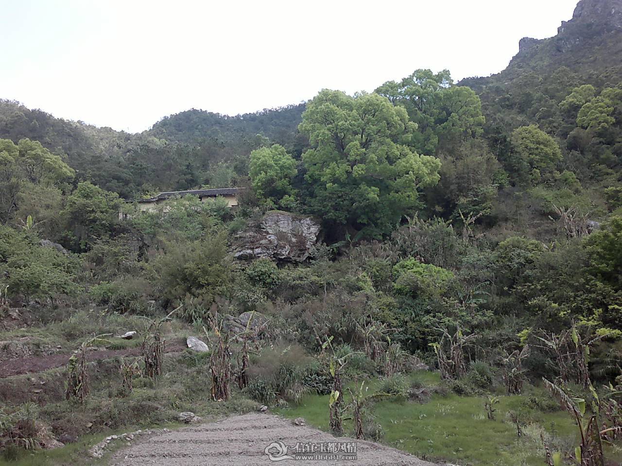 20110410162.jpg
