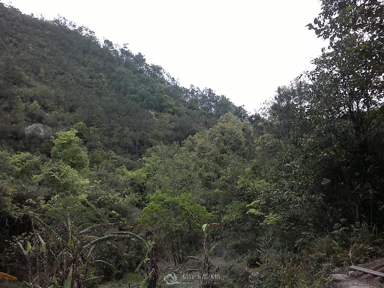 20110410163.jpg
