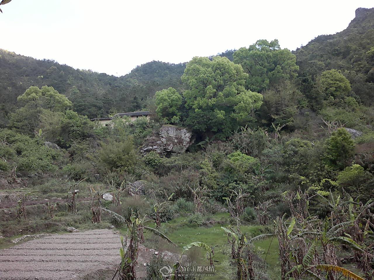20110410165.jpg