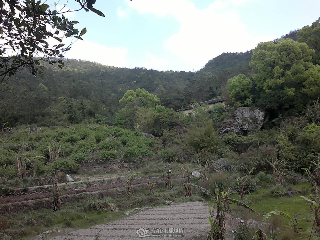 20110410166.jpg