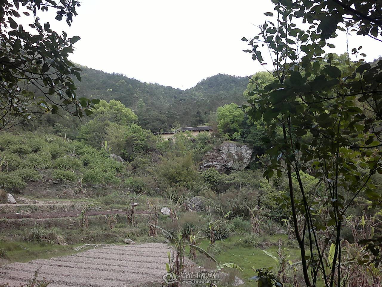 20110410167.jpg