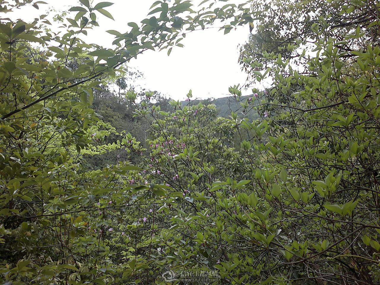 20110410168.jpg