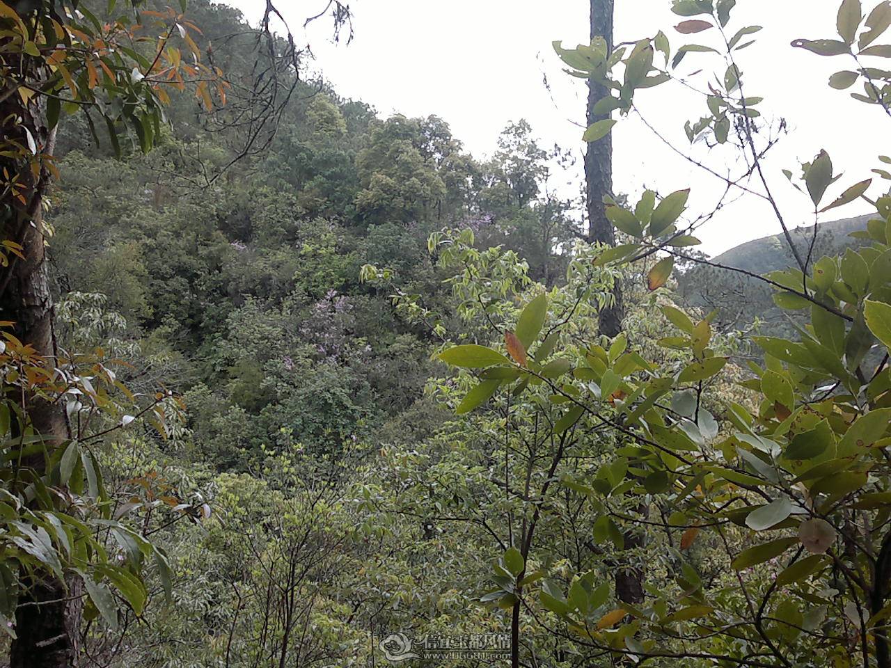 20110410169.jpg