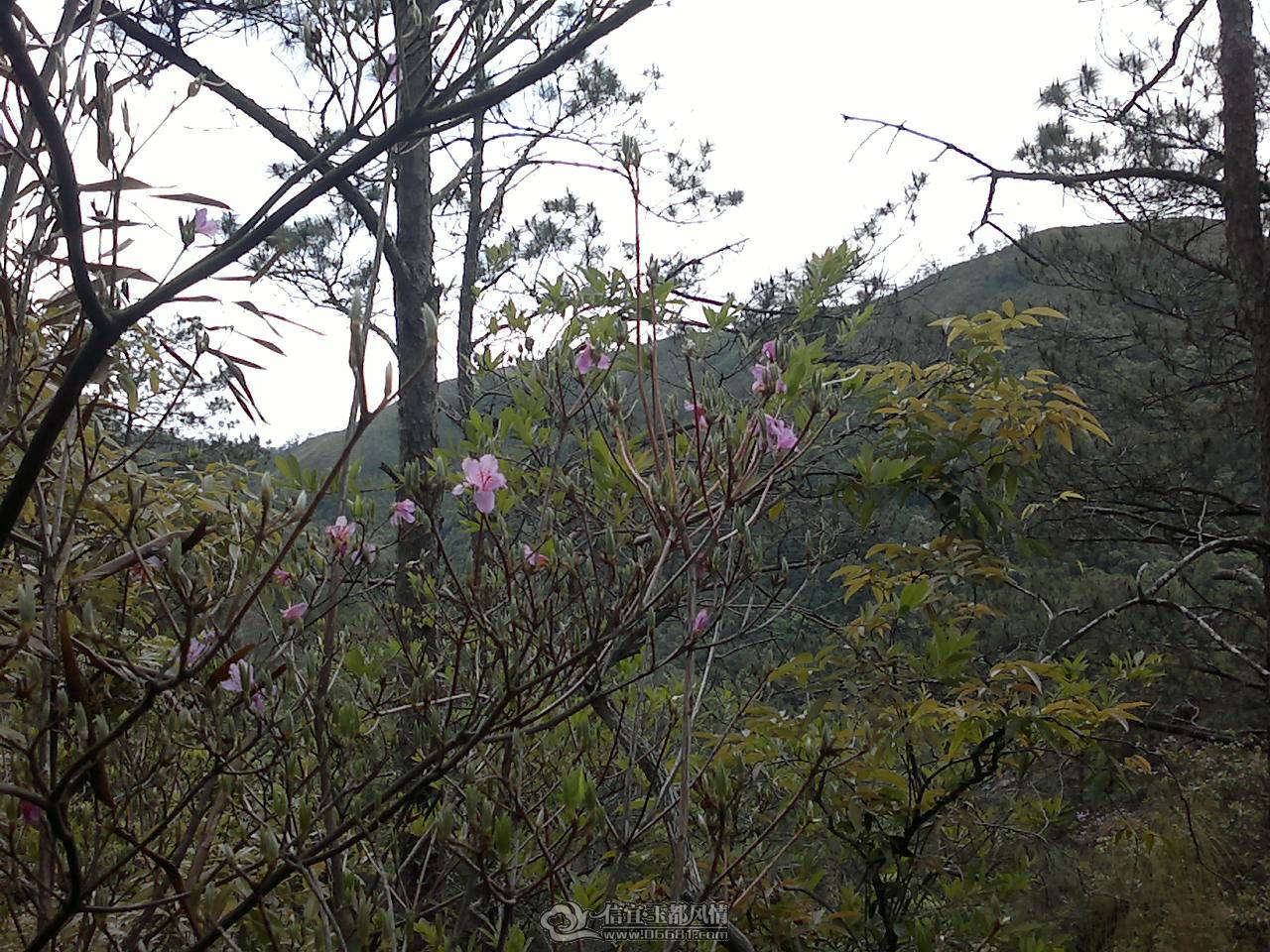 20110410170.jpg