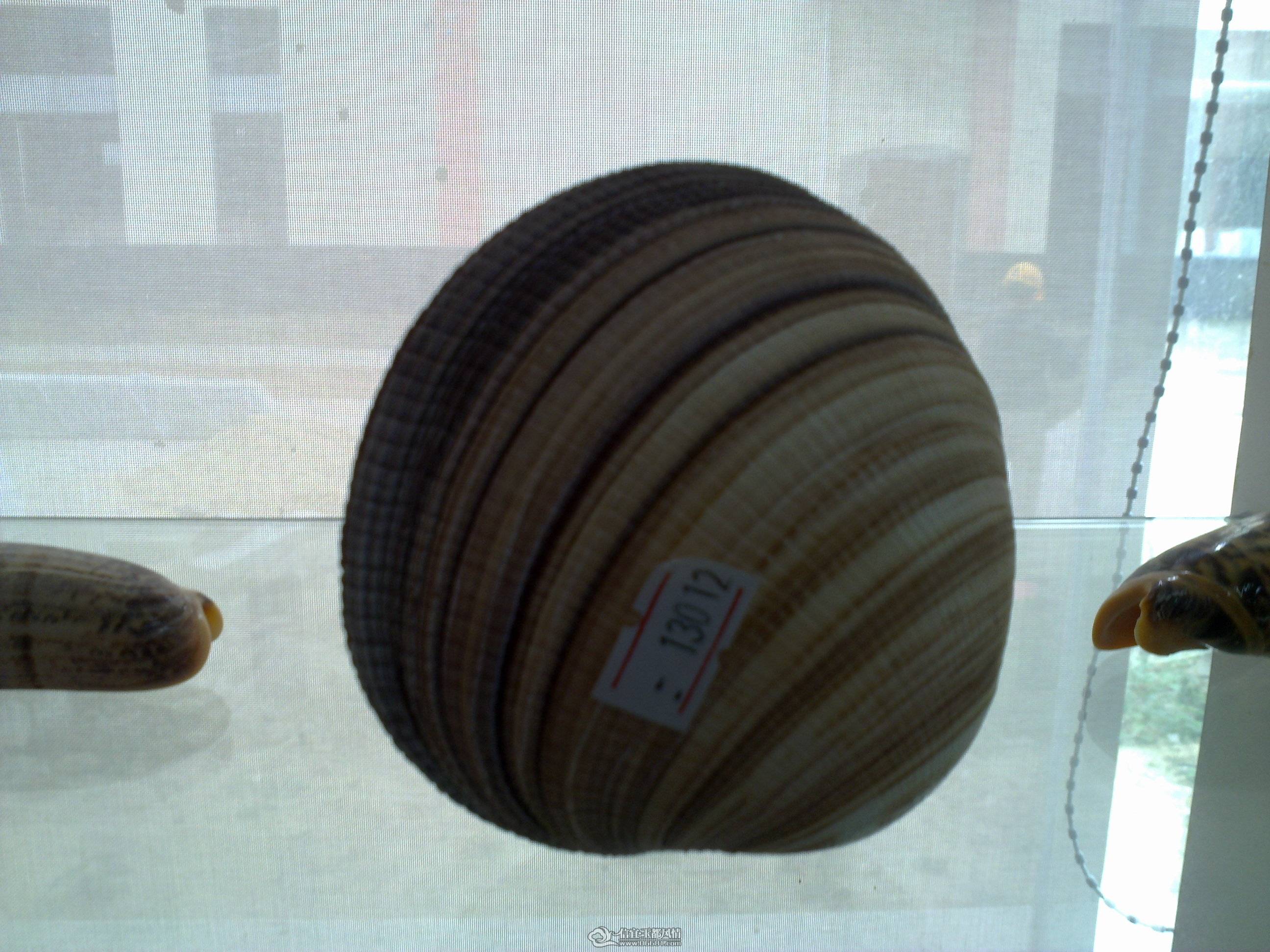 201104261391.jpg