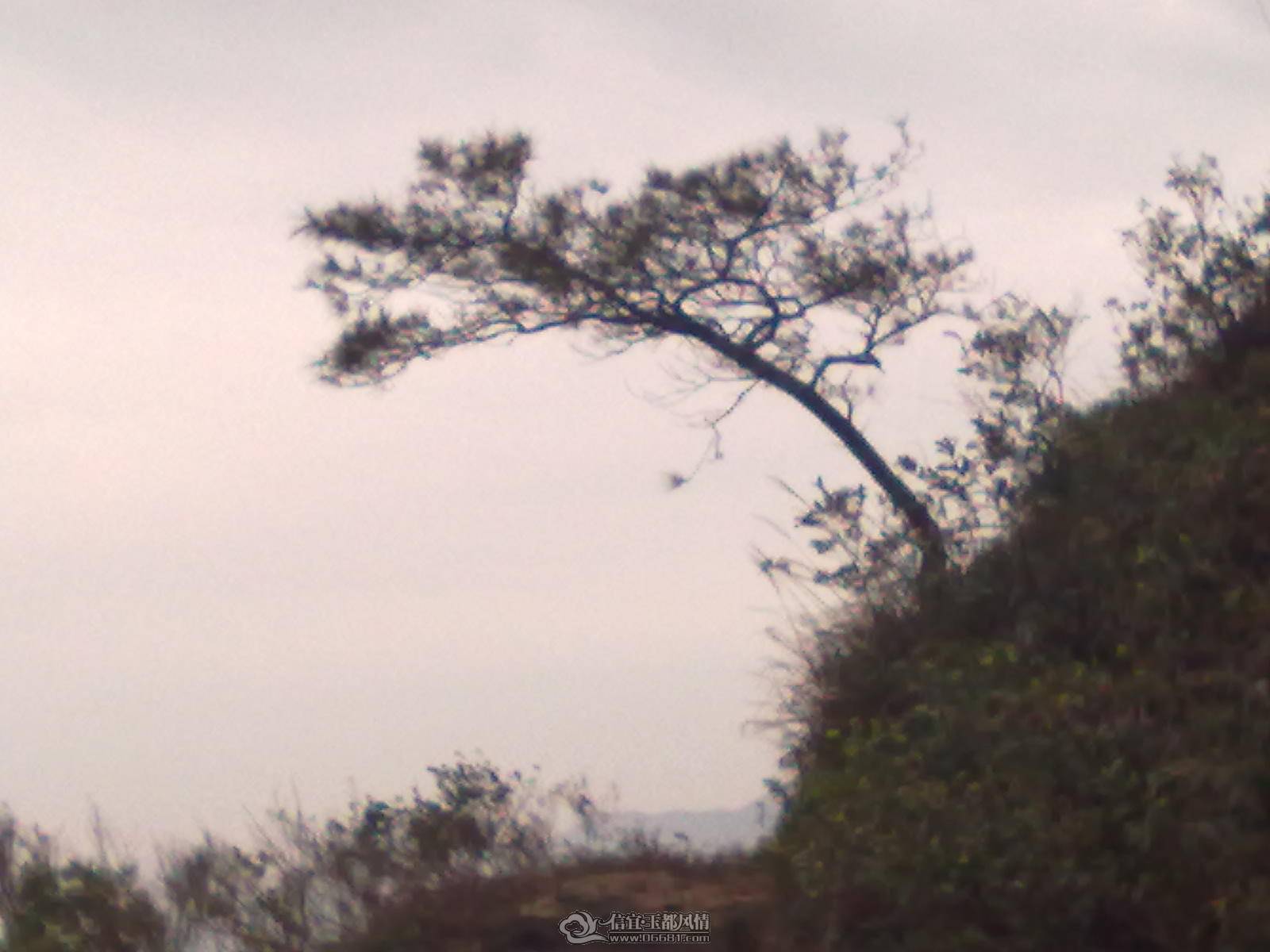��Ƭ 051.jpg
