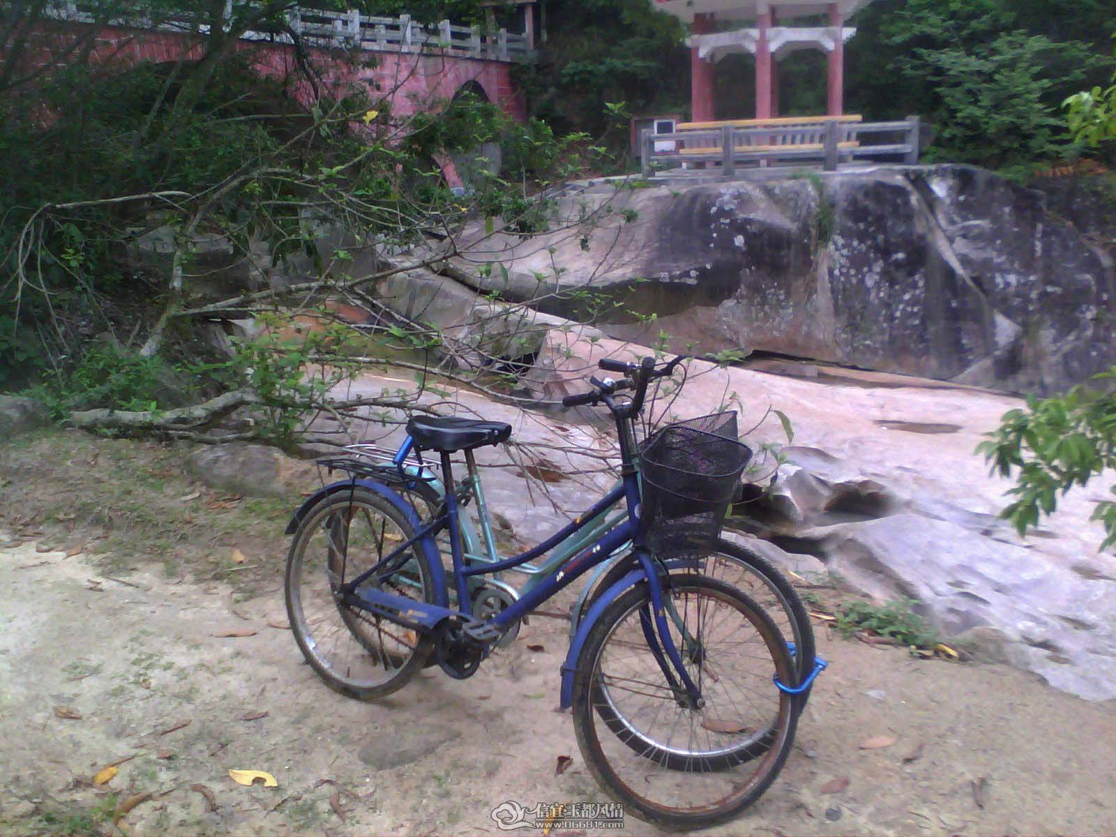 20110501F002.jpg