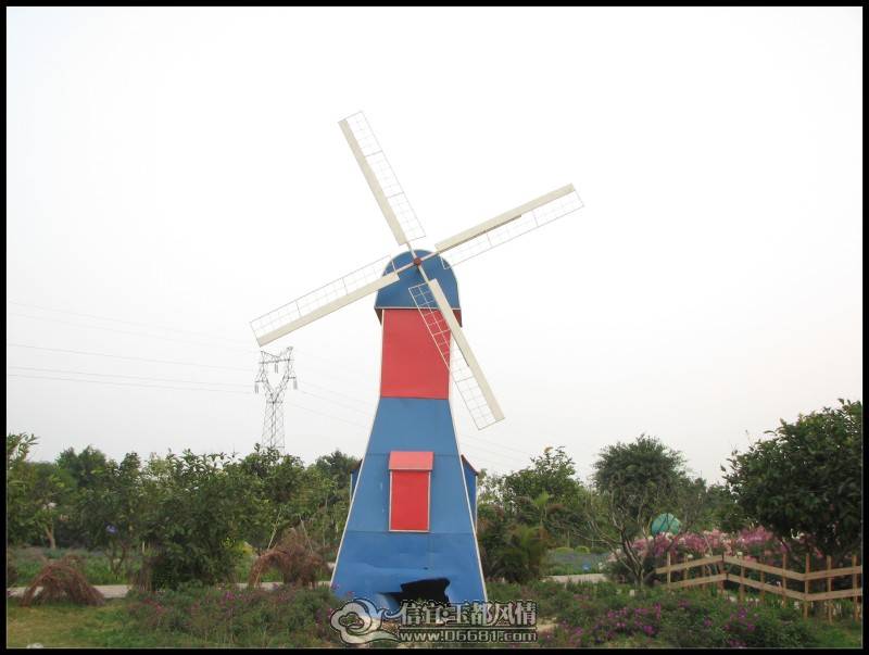 conew_img_4837.jpg