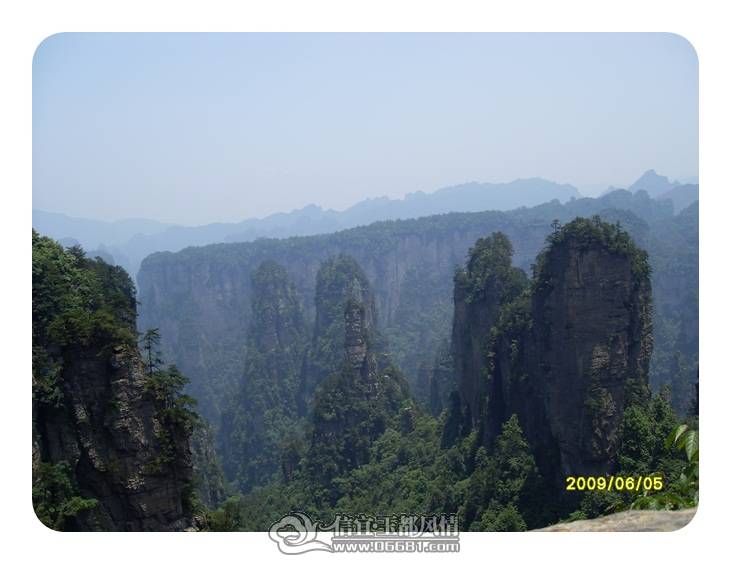 SDC11514.JPG