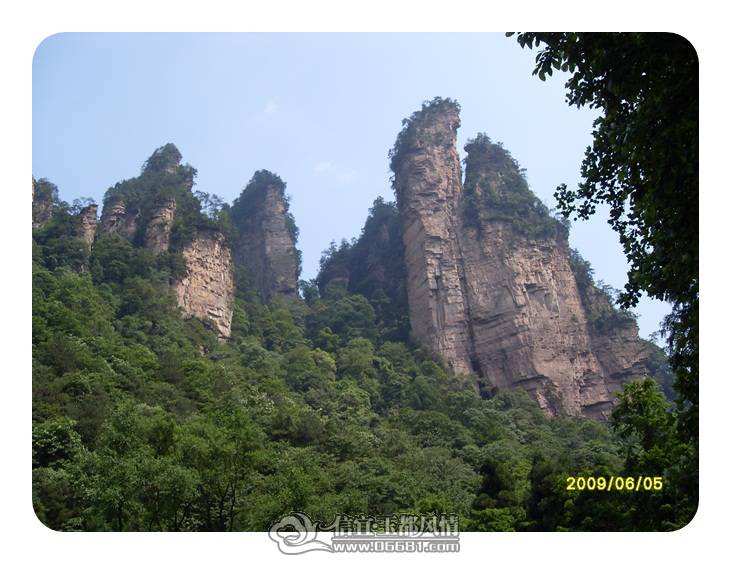SDC11646.JPG