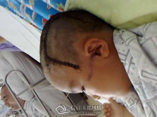 20100623210549.jpg