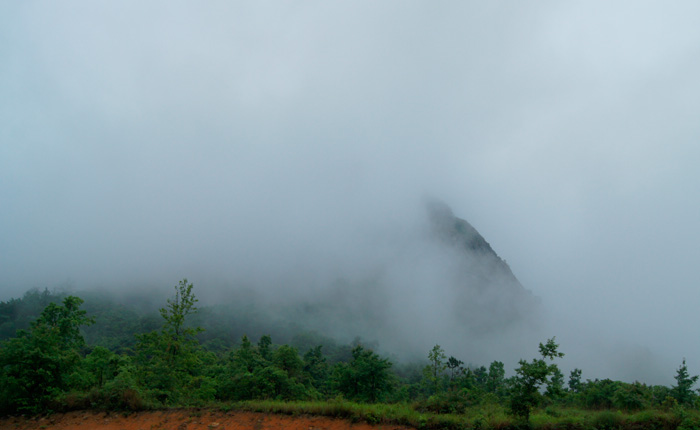 DSC01584.JPG