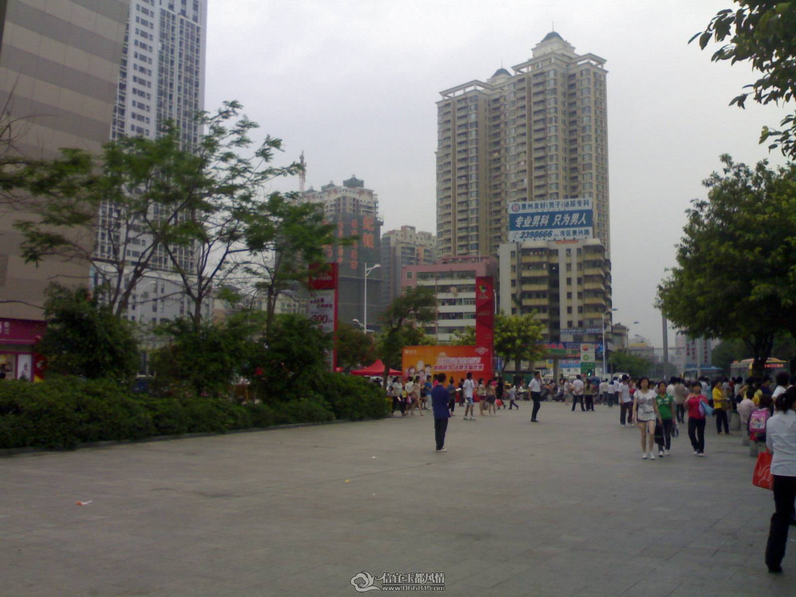 20110501165.jpg