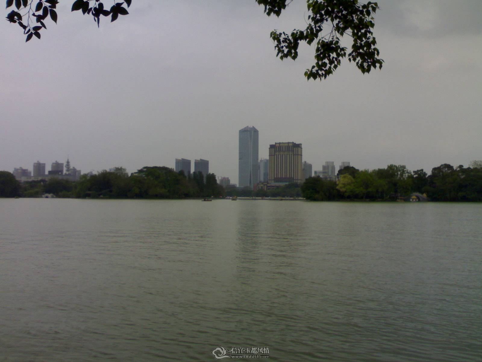 20110502296.jpg