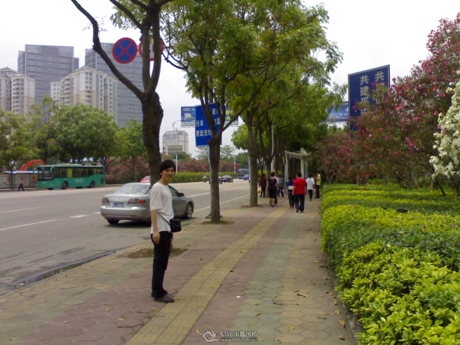 20110502239.jpg