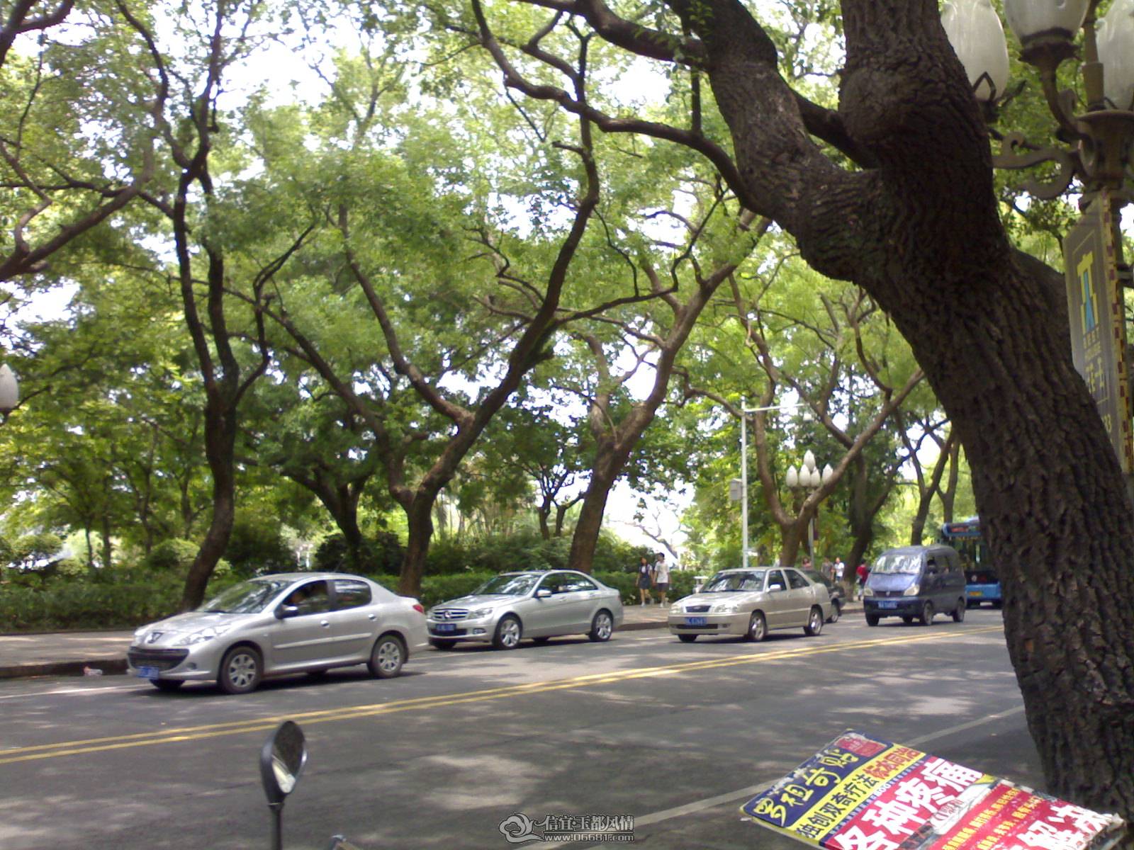 20110502242.jpg