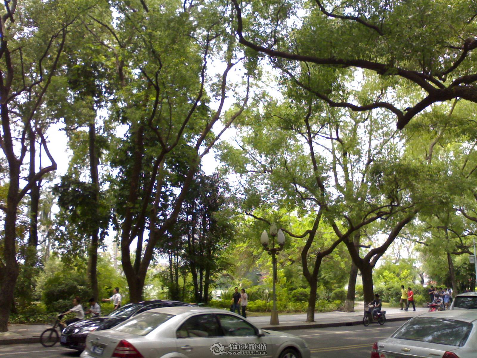 20110502244.jpg