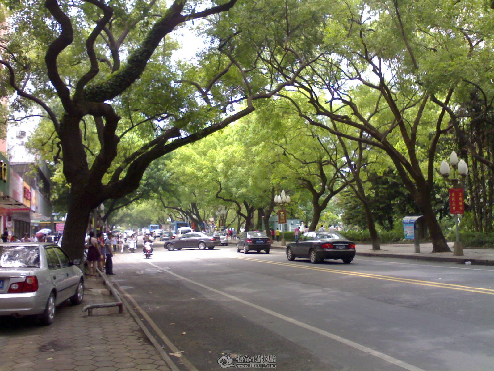 20110502246.jpg