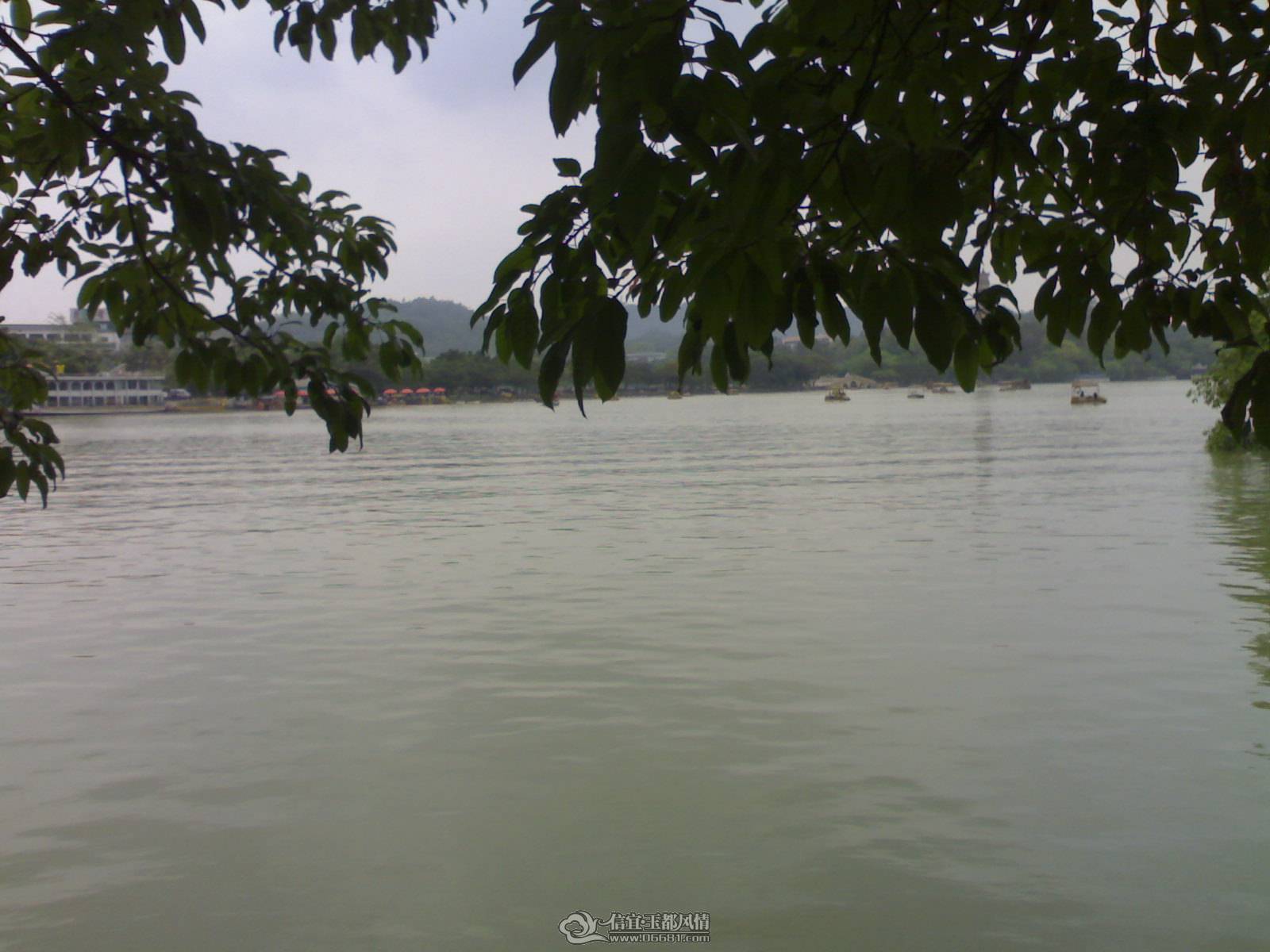 20110502249.jpg