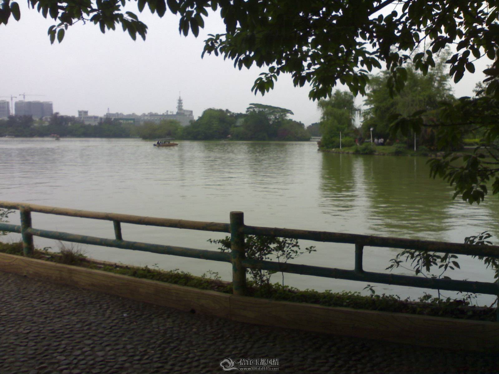 20110502250.jpg